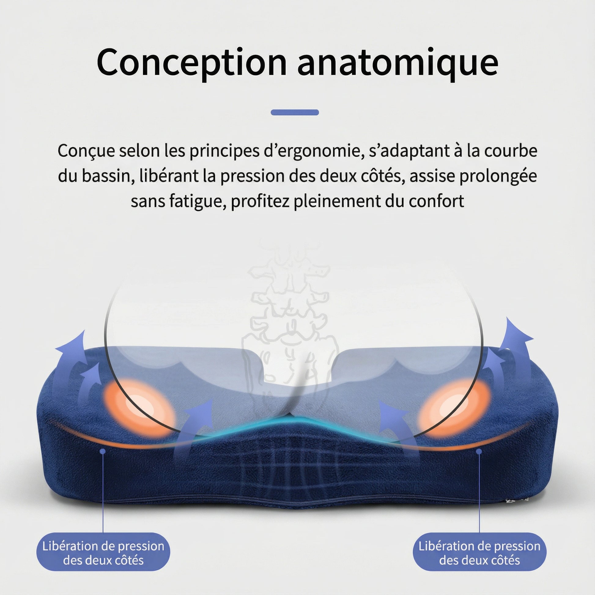 Conception Anatomique Du Coussin Rehausseur Adulte