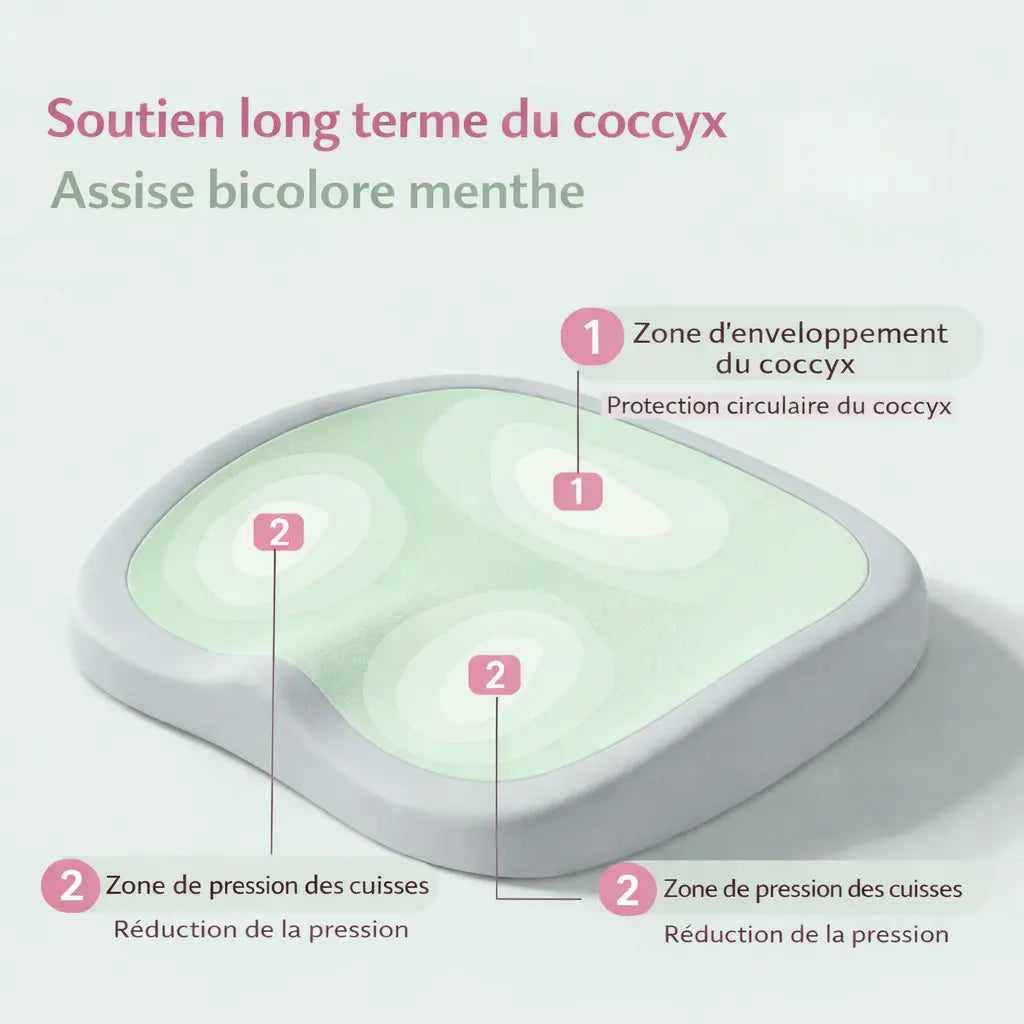 Rehausseur Chaise Adulte Vert Clair Description